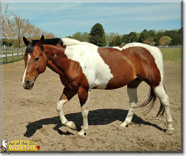 Name:  25.jpg
Views: 259
Size:  251.7 KB