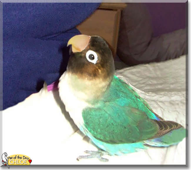 Name:  26.jpg
Views: 157
Size:  160.6 KB