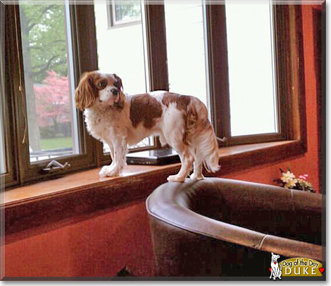 Name:  26b.jpg
Views: 172
Size:  228.8 KB