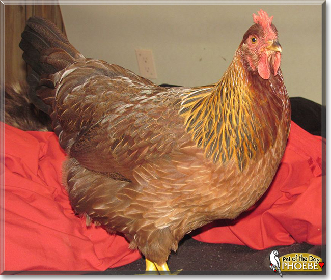 Name:  01.jpg
Views: 159
Size:  256.7 KB