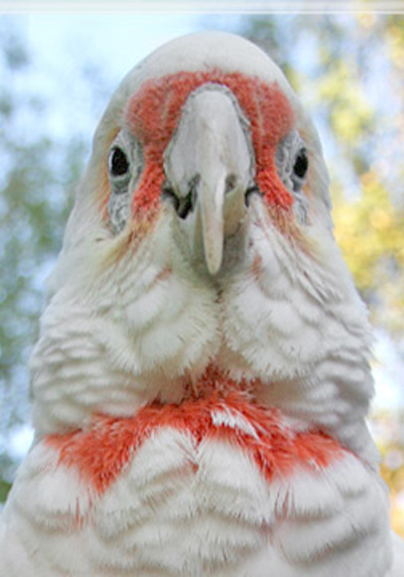 Name:  Untitled-1.jpg
Views: 157
Size:  232.3 KB