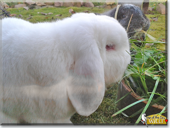 Name:  05c.jpg
Views: 182
Size:  260.2 KB