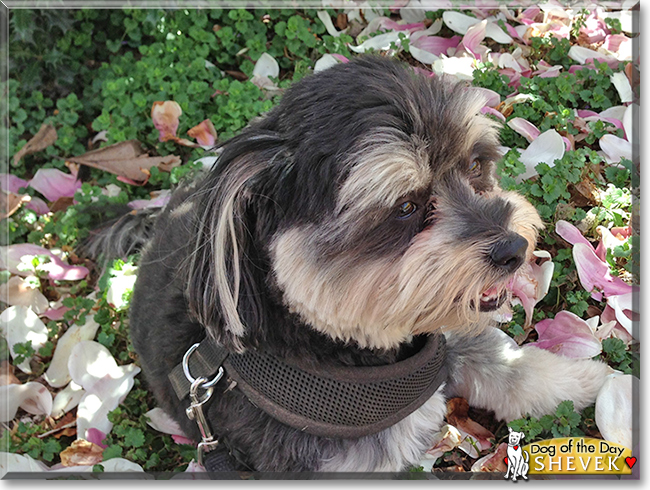 Name:  08b.jpg
Views: 184
Size:  303.3 KB