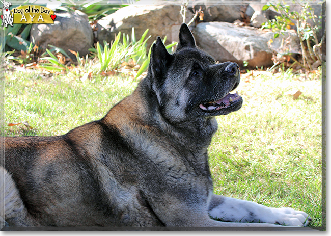 Name:  10c.jpg
Views: 197
Size:  355.8 KB