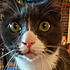 Click image for larger version. 

Name:	monclose.jpg 
Views:	78 
Size:	52.3 KB 
ID:	60476