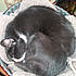 Click image for larger version. 

Name:	monsushi.jpg 
Views:	77 
Size:	62.6 KB 
ID:	60486