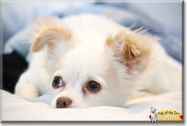 Name:  14b.jpg
Views: 284
Size:  154.2 KB