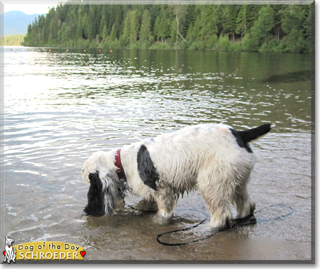 Name:  15b.jpg
Views: 144
Size:  287.3 KB