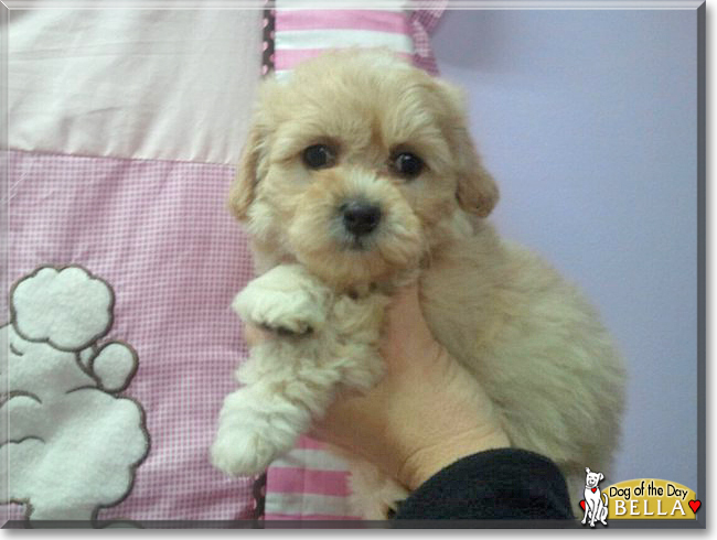 Name:  18c.jpg
Views: 144
Size:  161.7 KB