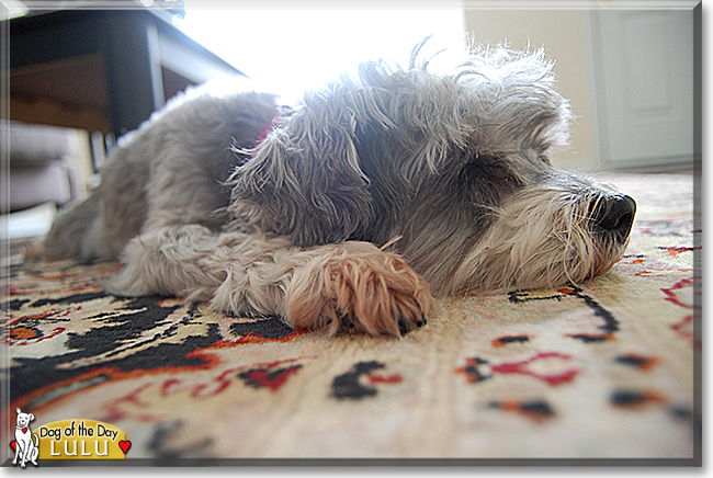 Name:  21c.jpg
Views: 218
Size:  262.5 KB