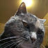 Click image for larger version. 

Name:	selfie6.jpg 
Views:	105 
Size:	54.9 KB 
ID:	60521