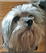 Name:  large.jpg
Views: 152
Size:  12.1 KB