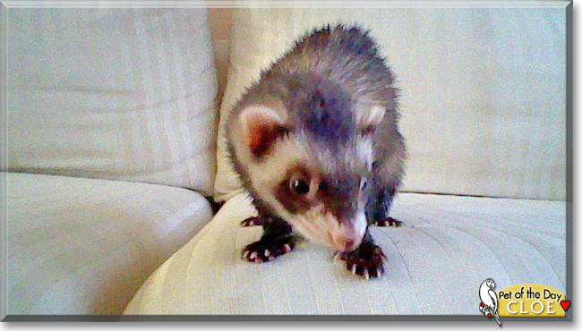 Name:  27.jpg
Views: 166
Size:  125.1 KB