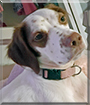 Name:  large.jpg
Views: 161
Size:  11.6 KB