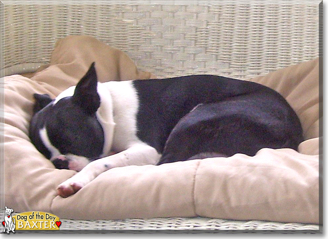 Name:  30b.jpg
Views: 196
Size:  225.6 KB