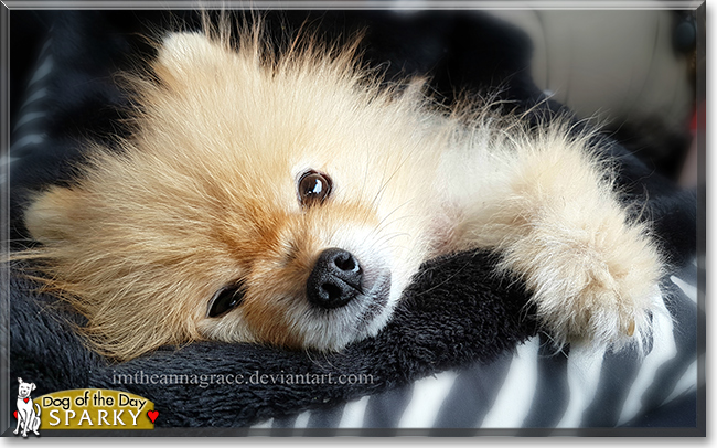 Name:  03b.jpg
Views: 131
Size:  213.1 KB