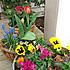 Click image for larger version. 

Name:	spring.jpg 
Views:	122 
Size:	112.9 KB 
ID:	60546