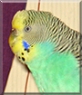 Name:  large.jpg
Views: 112
Size:  14.0 KB