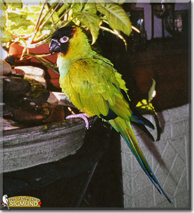 Name:  06.jpg
Views: 135
Size:  306.5 KB