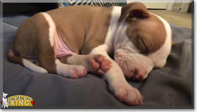 Name:  06g.jpg
Views: 167
Size:  146.8 KB