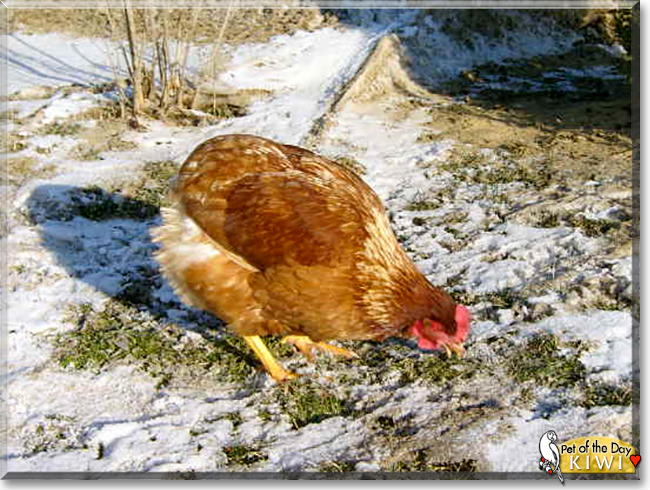 Name:  11.jpg
Views: 123
Size:  270.2 KB