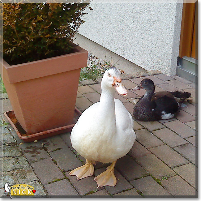 Name:  13.jpg
Views: 78
Size:  346.4 KB