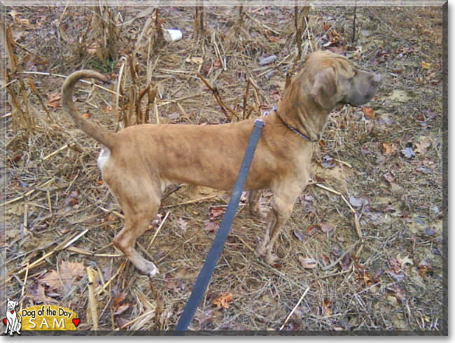 Name:  17b.jpg
Views: 164
Size:  225.1 KB