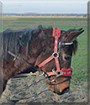 Name:  large.jpg
Views: 131
Size:  12.8 KB