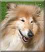 Name:  large.jpg
Views: 142
Size:  12.0 KB