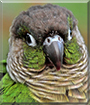 Name:  large (1).jpg
Views: 117
Size:  14.4 KB