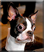 Name:  large.jpg
Views: 185
Size:  12.6 KB