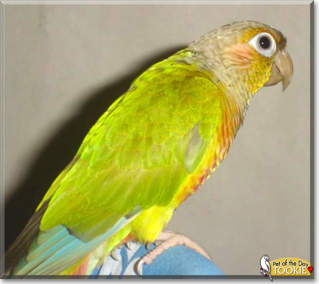 Name:  30.jpg
Views: 190
Size:  188.9 KB