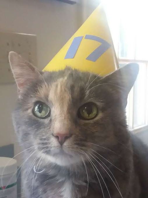 Name:  mkbday.jpg
Views: 203
Size:  50.4 KB