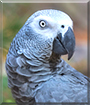 Name:  large.jpg
Views: 141
Size:  12.9 KB