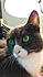 Click image for larger version. 

Name:	monwhisk.jpg 
Views:	91 
Size:	43.0 KB 
ID:	60635
