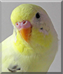 Name:  large.jpg
Views: 137
Size:  9.7 KB