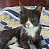 Click image for larger version. 

Name:	monwink.jpg 
Views:	57 
Size:	61.0 KB 
ID:	60642