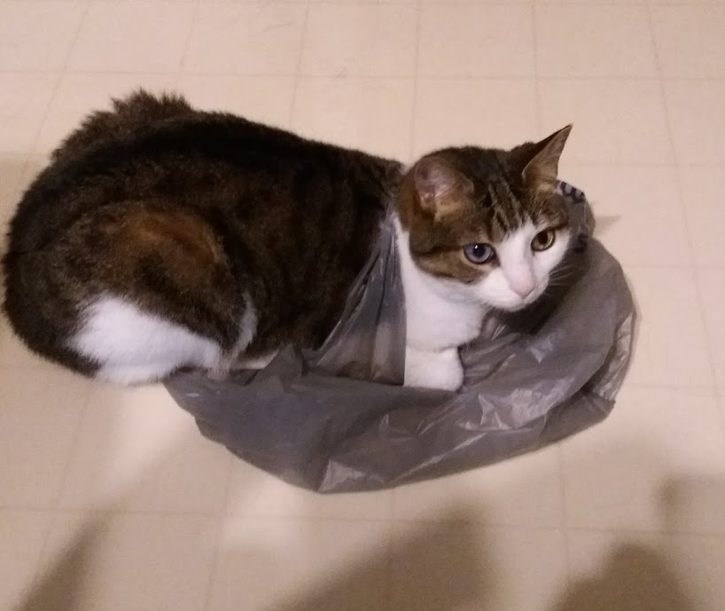 Name:  olibag1.jpg
Views: 160
Size:  56.5 KB