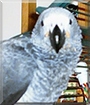 Name:  large (1).jpg
Views: 141
Size:  13.6 KB