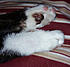 Click image for larger version. 

Name:	minfeet.jpg 
Views:	70 
Size:	86.3 KB 
ID:	60676