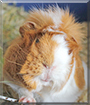 Name:  large.jpg
Views: 119
Size:  13.1 KB