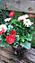 Click image for larger version. 

Name:	gerb.jpg 
Views:	71 
Size:	140.4 KB 
ID:	60729