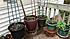 Click image for larger version. 

Name:	vegapril.jpg 
Views:	69 
Size:	189.3 KB 
ID:	60734