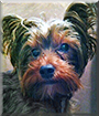 Name:  large (1).jpg
Views: 201
Size:  14.6 KB