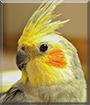 Name:  large.jpg
Views: 93
Size:  12.4 KB