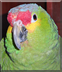 Name:  large (1).jpg
Views: 112
Size:  14.2 KB