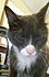 Click image for larger version. 

Name:	monrself.jpg 
Views:	70 
Size:	57.0 KB 
ID:	60780