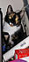 Click image for larger version. 

Name:	minweird2.jpg 
Views:	107 
Size:	60.3 KB 
ID:	60783