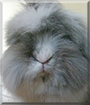 Name:  large.jpg
Views: 217
Size:  10.0 KB