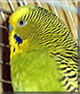 Name:  large (1).jpg
Views: 126
Size:  17.8 KB